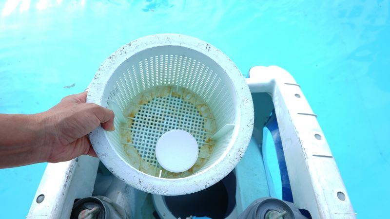 Pool Algae Removal detail