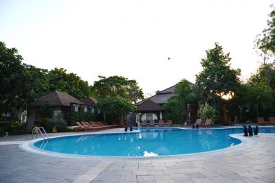 Luxury Inground Pool Service